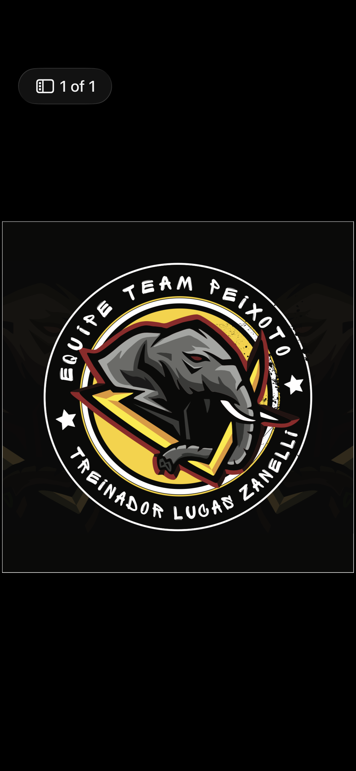 Team Peixoto