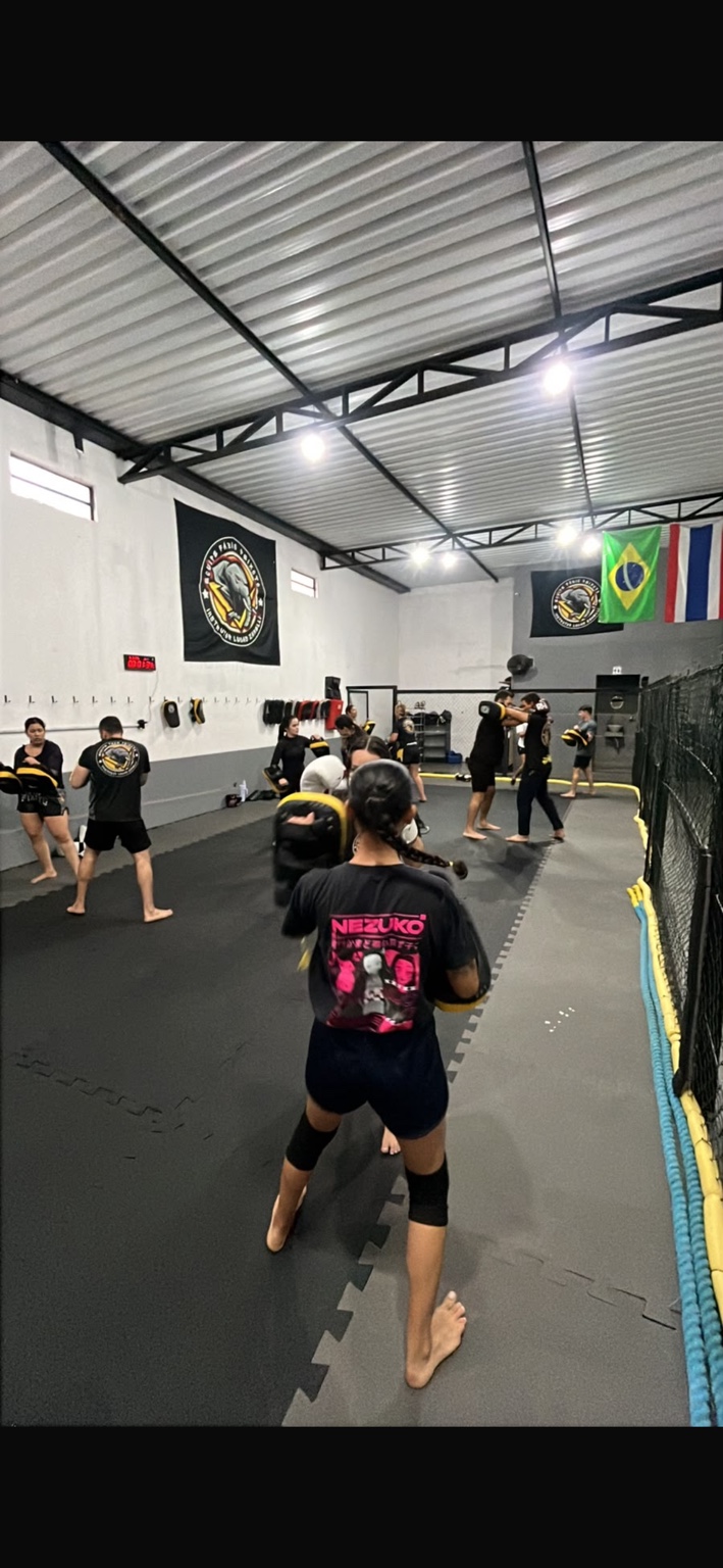 Treinamento de MUAY THAI - Team Peixoto