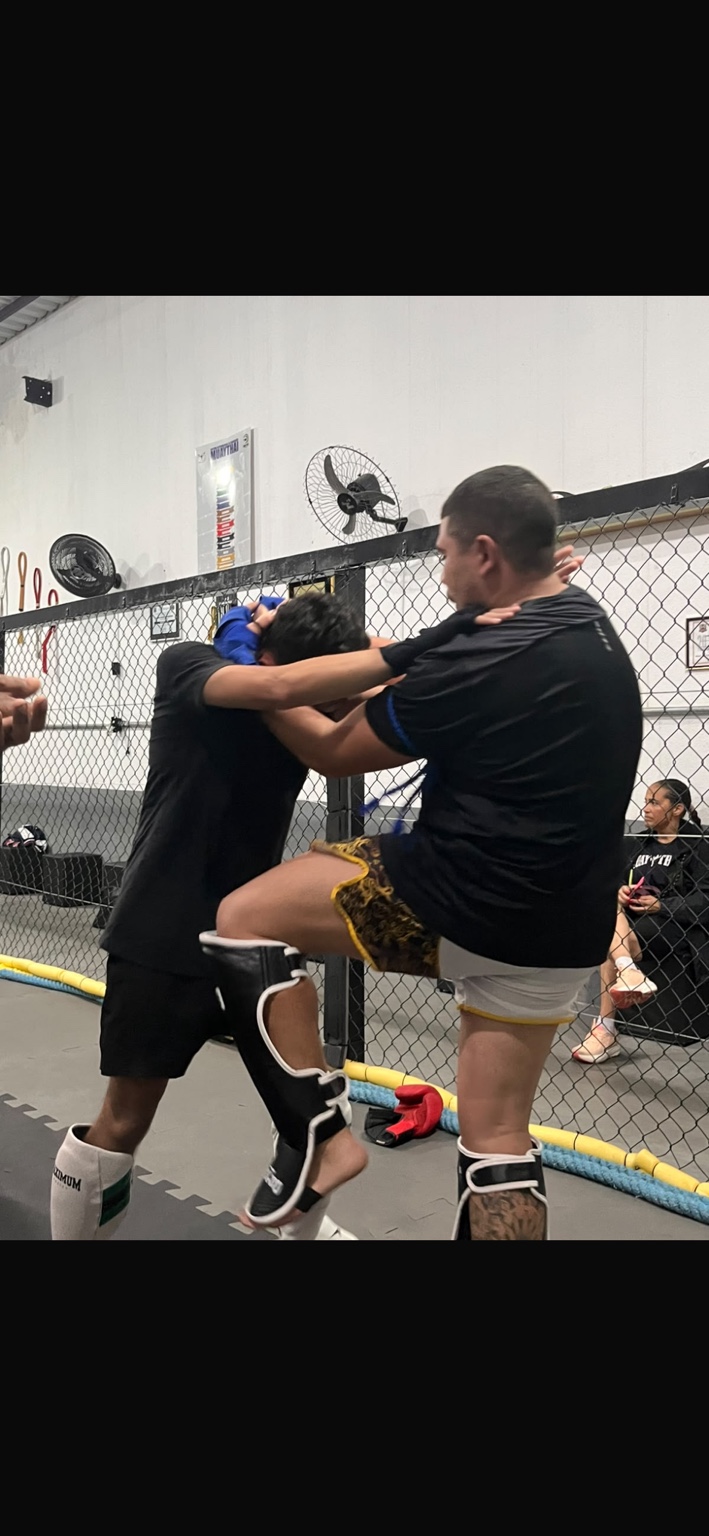 Treinamento de MMA - Team Peixoto